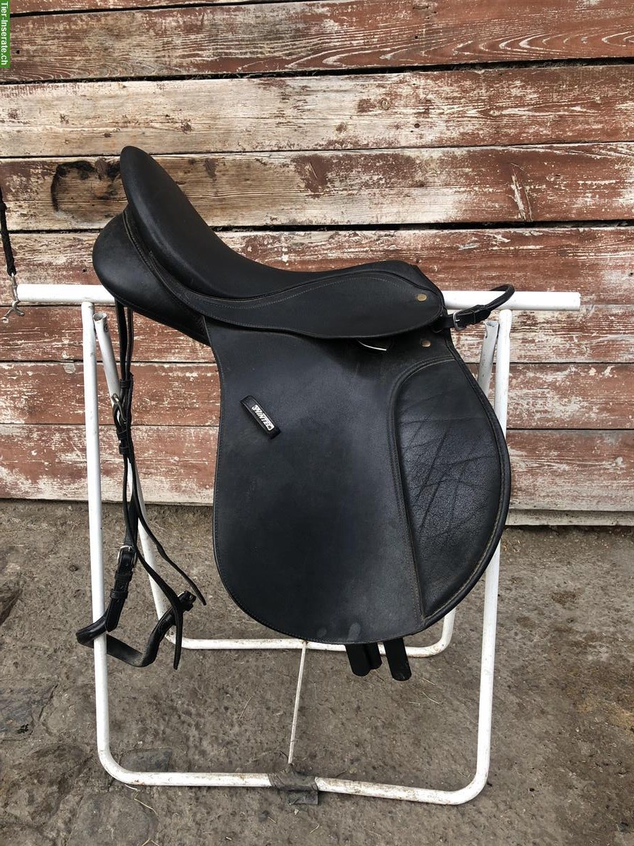 Bates Ponysattel (schwarz) 16.5 Zoll zu verkaufen