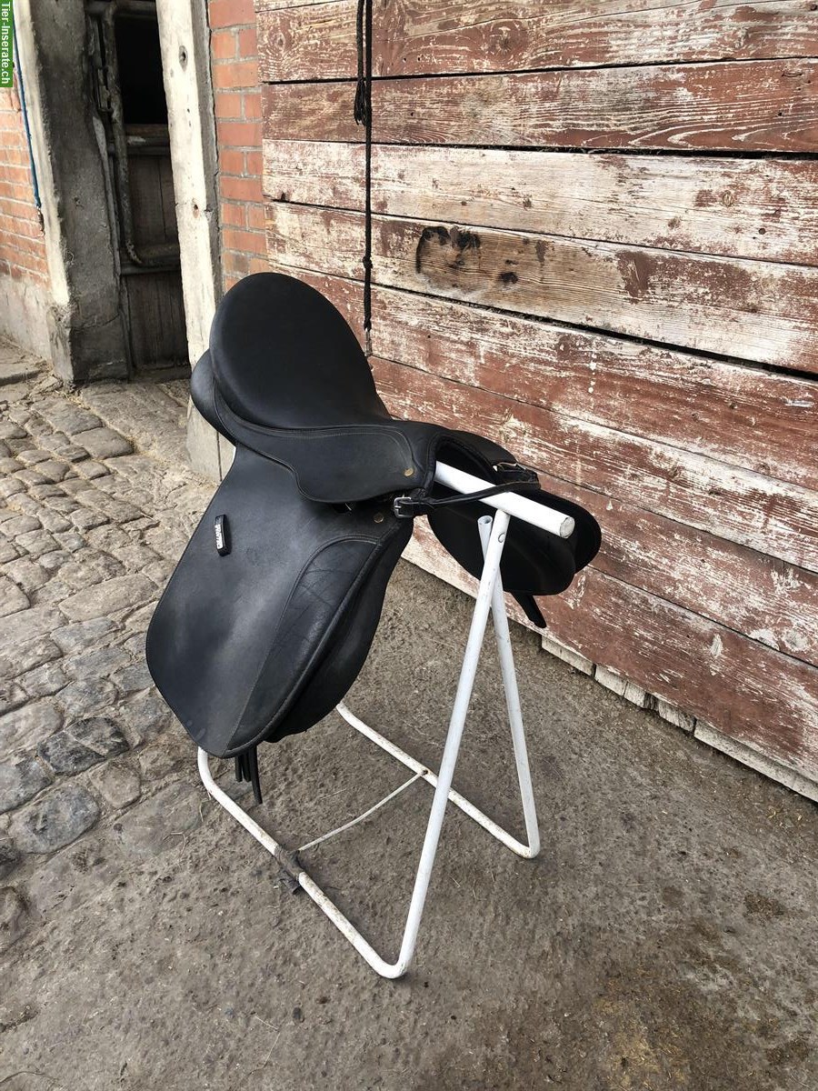 Bild 2: Bates Ponysattel (schwarz) 16.5 Zoll zu verkaufen