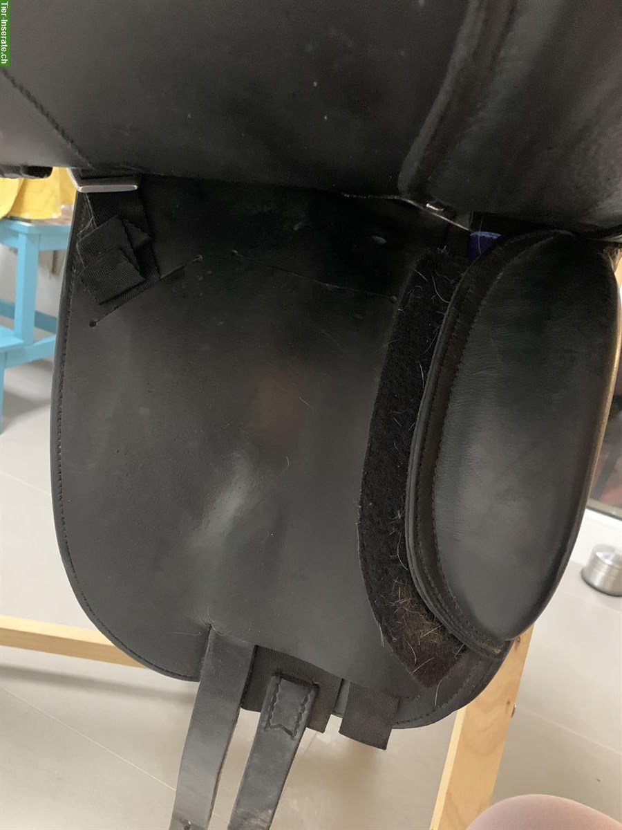 Bild 3: Schleese Pirat Dressursattel 17.5 Zoll zu verkaufen