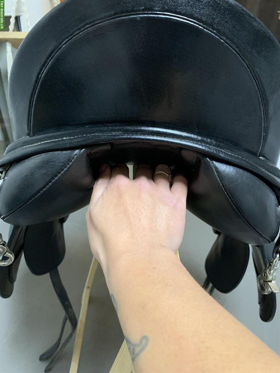 Bild 4: Schleese Pirat Dressursattel 17.5 Zoll zu verkaufen