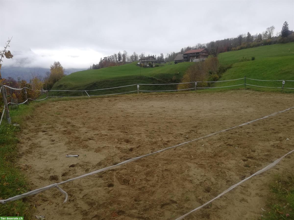 Bild 3: Bieten Offenstallplatz für 1 Pferd oder Pony | Emmetten NW