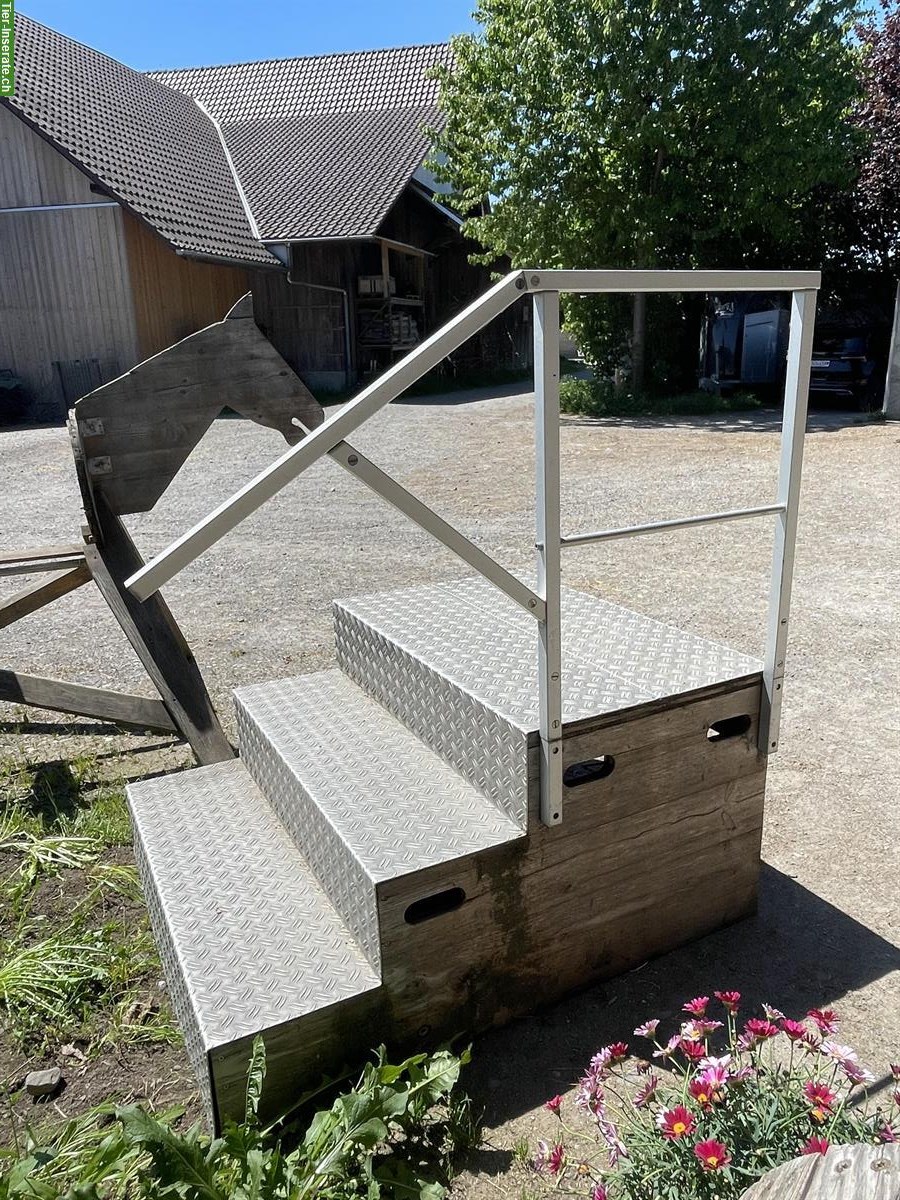 Pferde Aufstiegshilfe zu verkaufen (aus Holz + Alu)