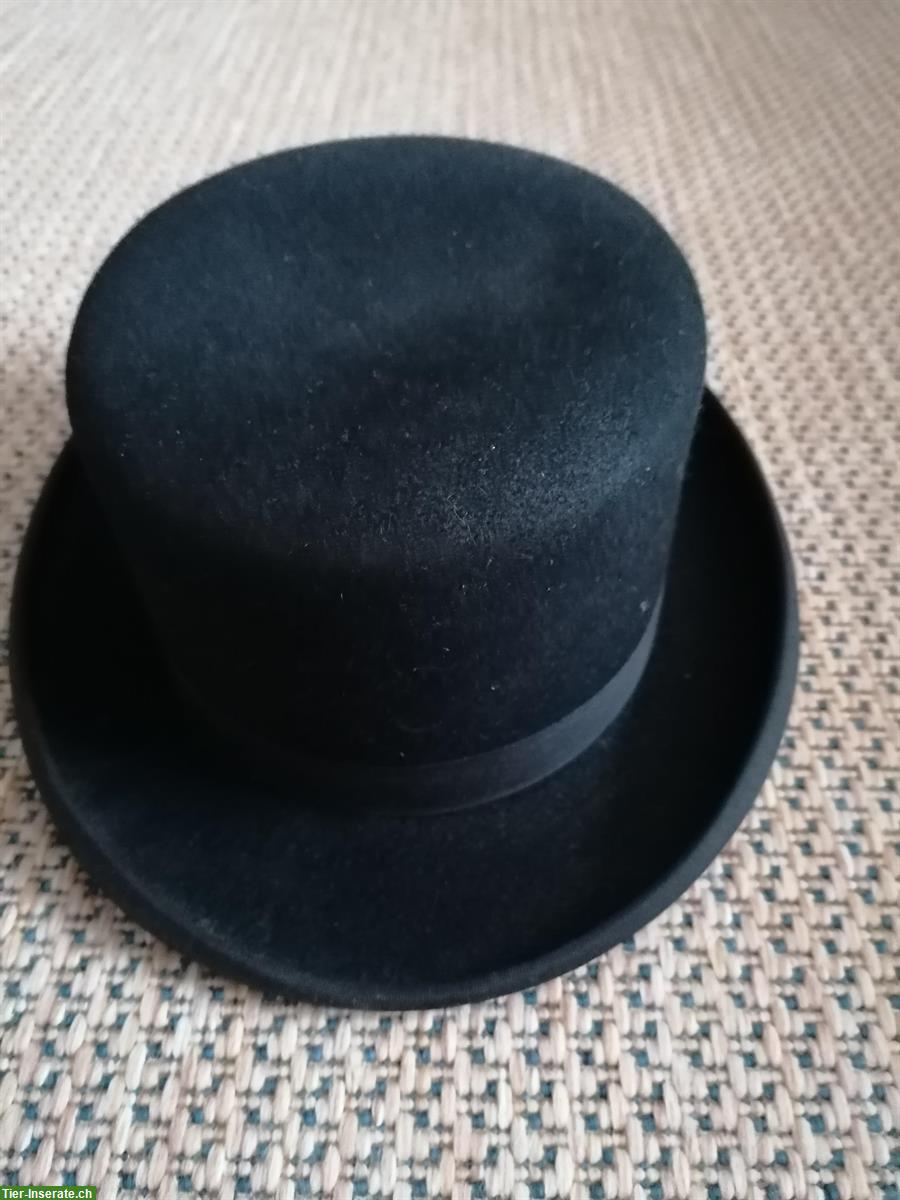 Bild 3: Zäume und Trensen günstig zu verkaufen