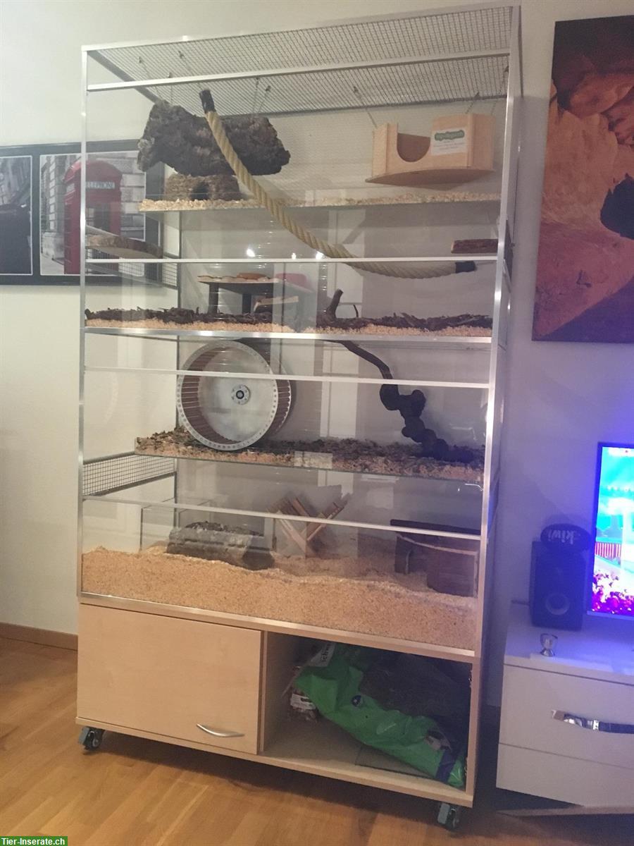 Top Terrarium für Nagetiere (4 Etagen) mit Unterbau