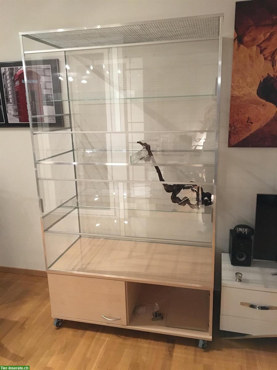 Bild 2: Top Terrarium für Nagetiere (4 Etagen) mit Unterbau