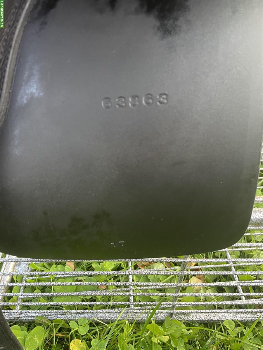 Bild 5: Deuber & Partner Bolero Dressur SKL, Novoflex, neuwertig