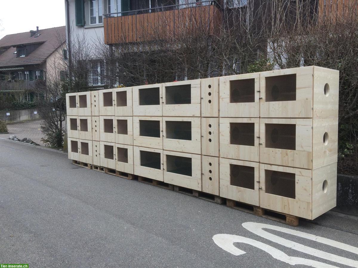 Bild 2: Kaninchenstallanlage zu verkaufen