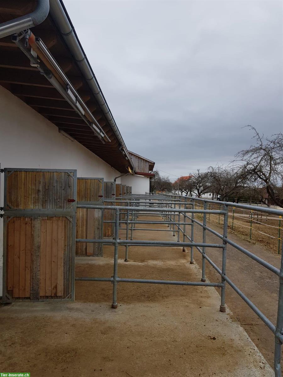 🐴 Pferdehaltung mit Herz – Einstellplätze  auf familiärem Hof 🐴