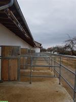 🐴 Pferdehaltung mit Herz – Einstellplätze  auf familiärem Hof 🐴