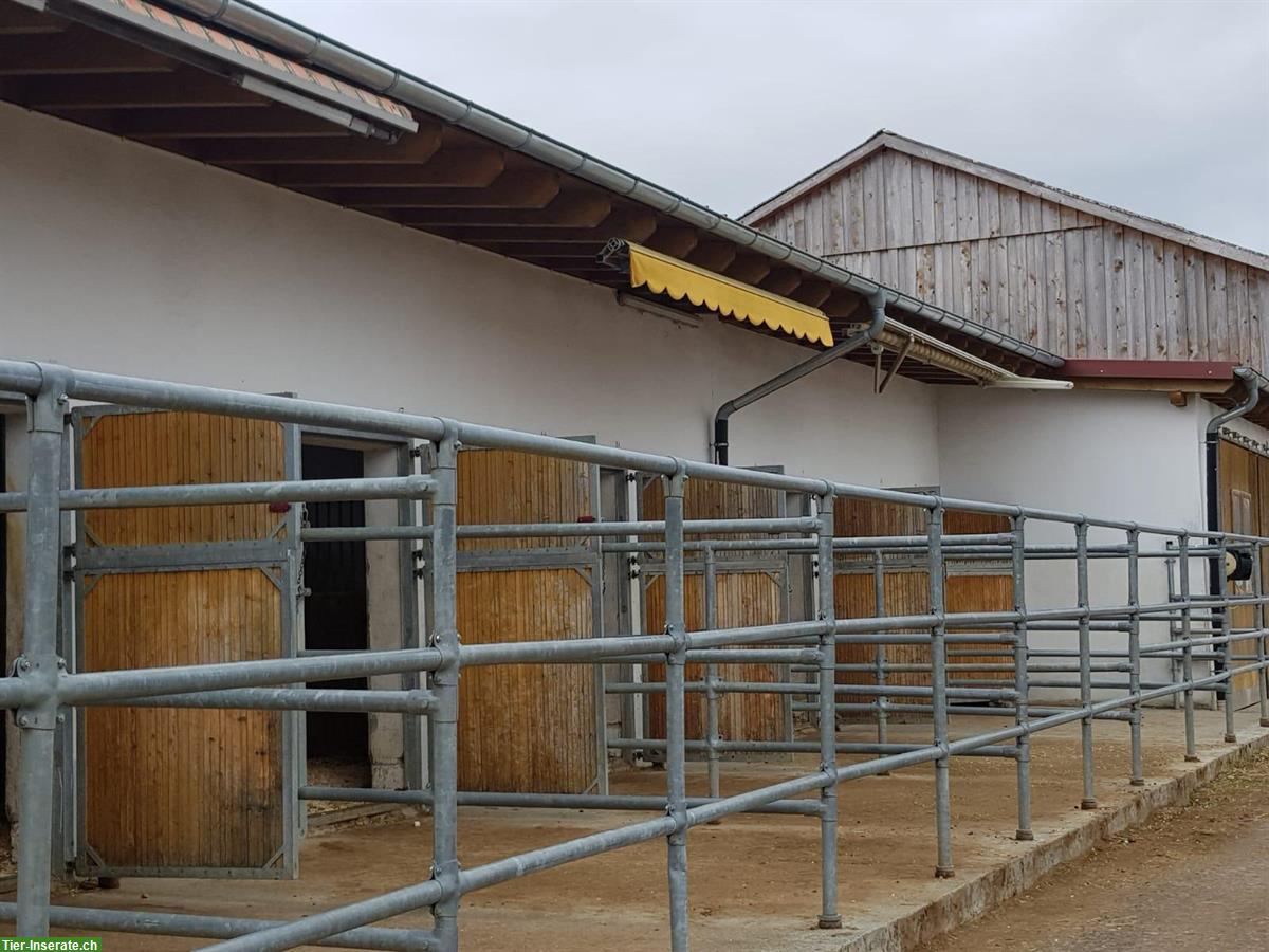 Bild 3: 🐴 Pferdehaltung mit Herz – Einstellplätze  auf familiärem Hof 🐴