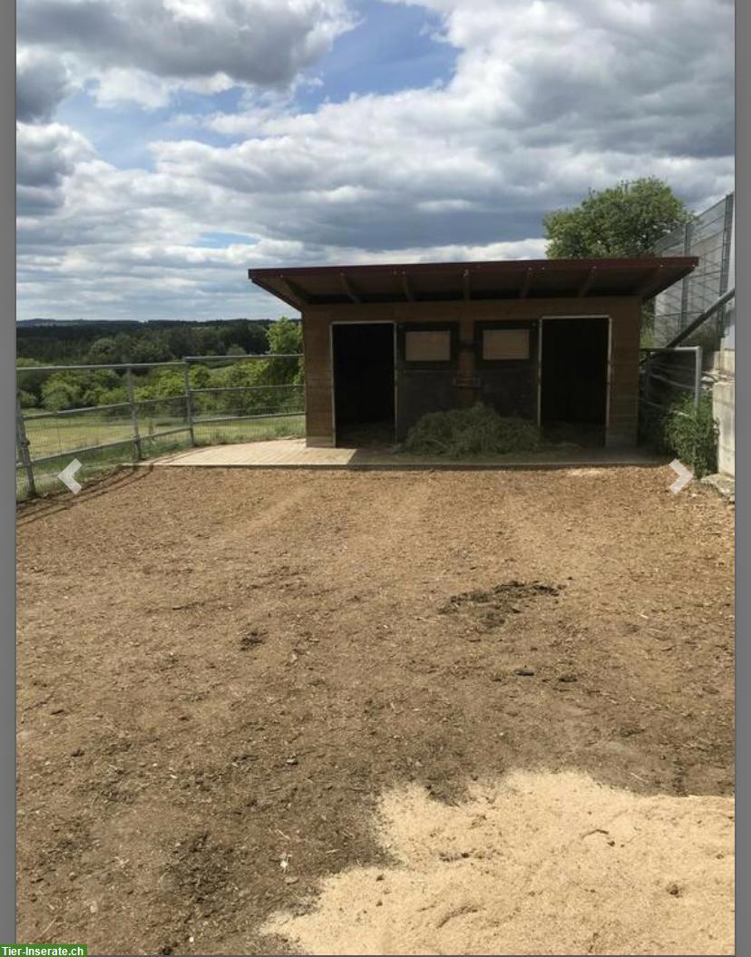 Bild 4: 🐴 Pferdehaltung mit Herz – Einstellplätze  auf familiärem Hof 🐴