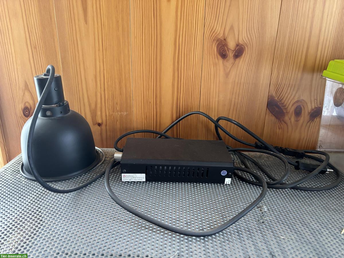 UVA-/UVB-Lampe mit Vorschaltgerät zu verkaufen