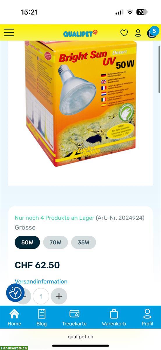 Bild 4: UVA-/UVB-Lampe mit Vorschaltgerät zu verkaufen