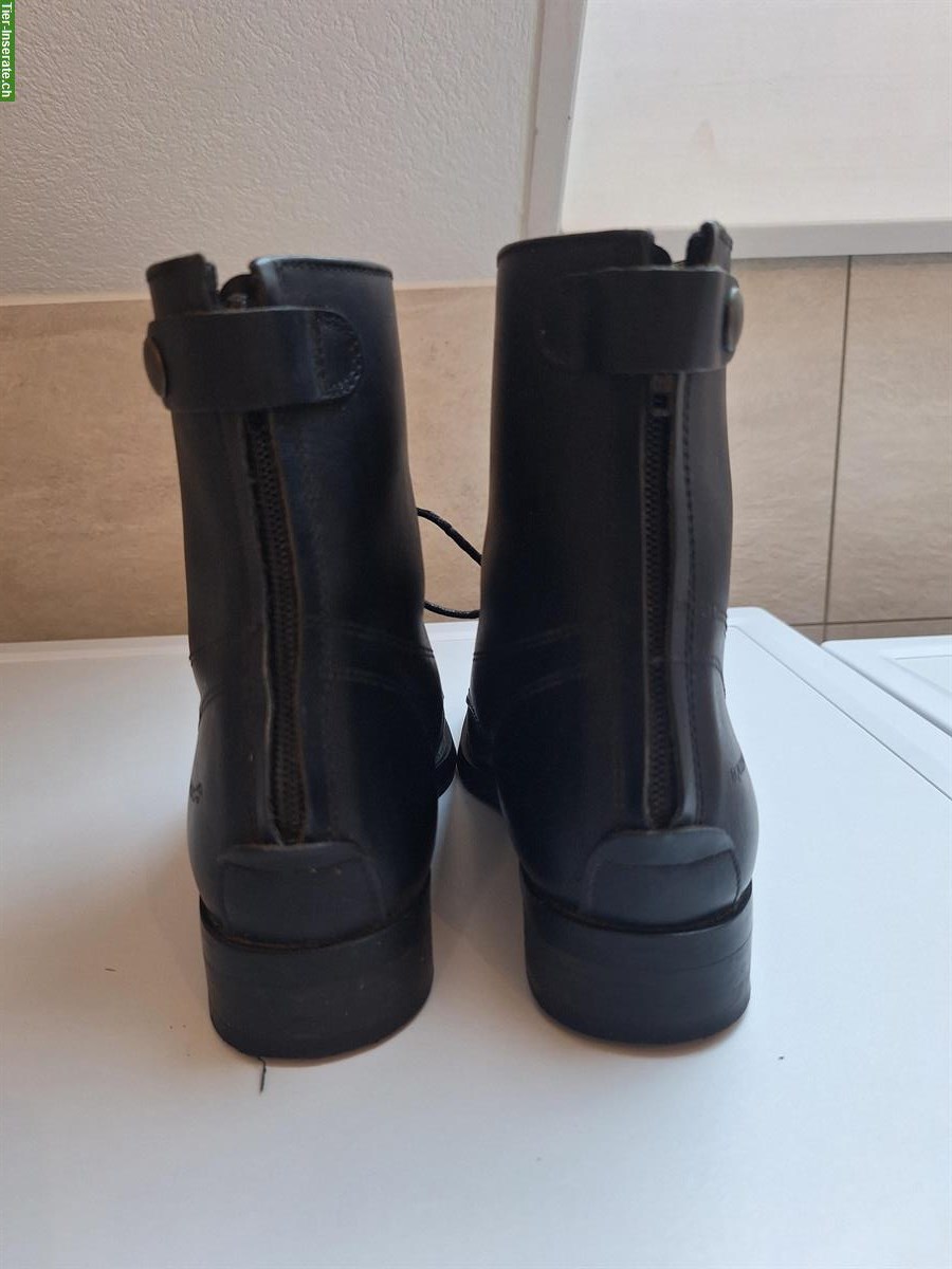 Bild 3: Reitstiefeletten Gr. 36 zu verkaufen, kaum getragen