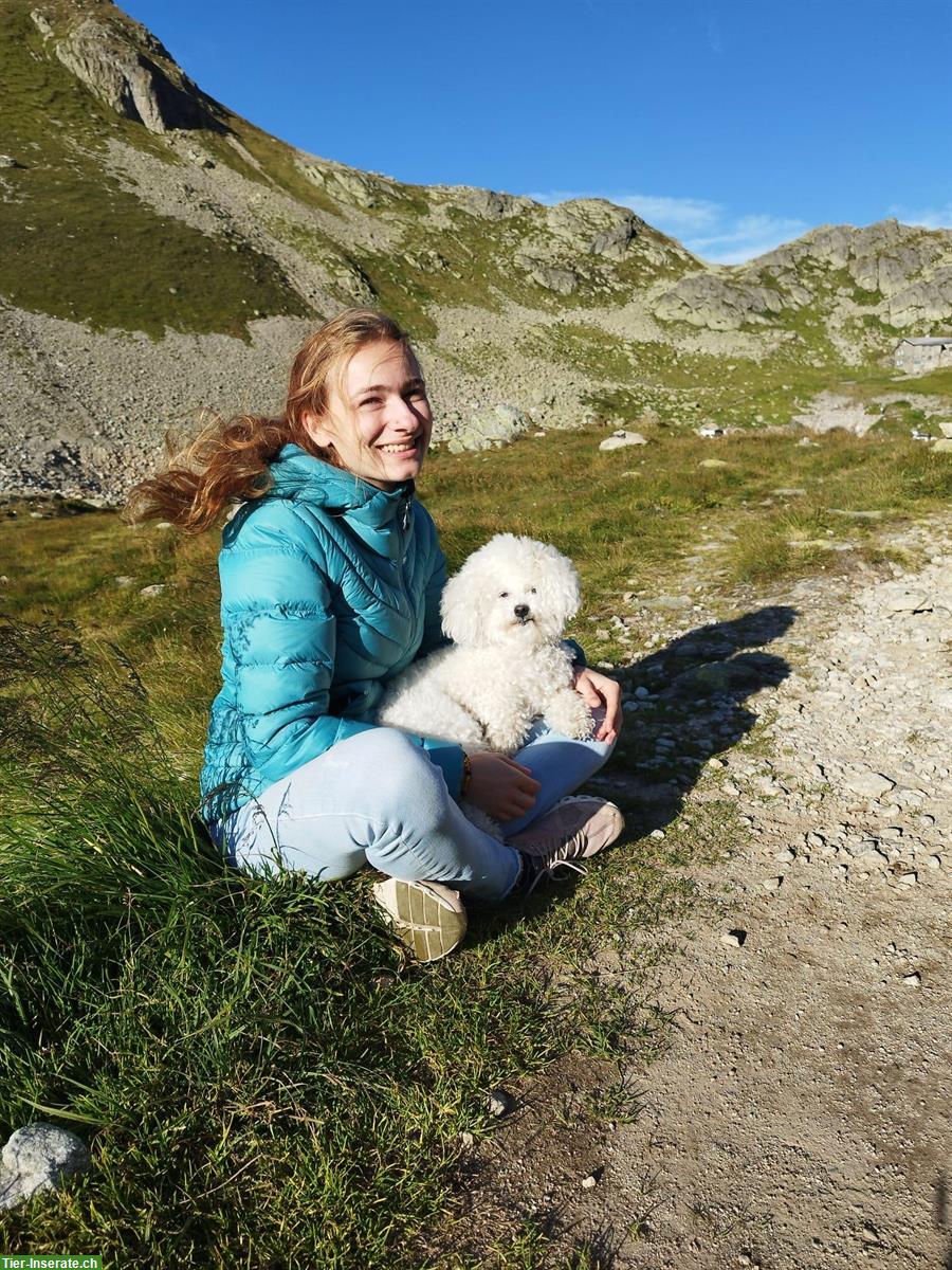 Suche Teilzeitstelle als Betriebsmitarbeiter auf einem Hof