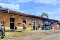 Pferdepension: Auslaufbox zu vermieten, Kanton Bern