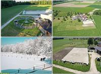 Pferde Innenboxe frei in 8570 Weinfelden TG