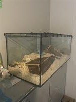 Hamster Terrarium aus Glas zu verkaufen, 115x40cm