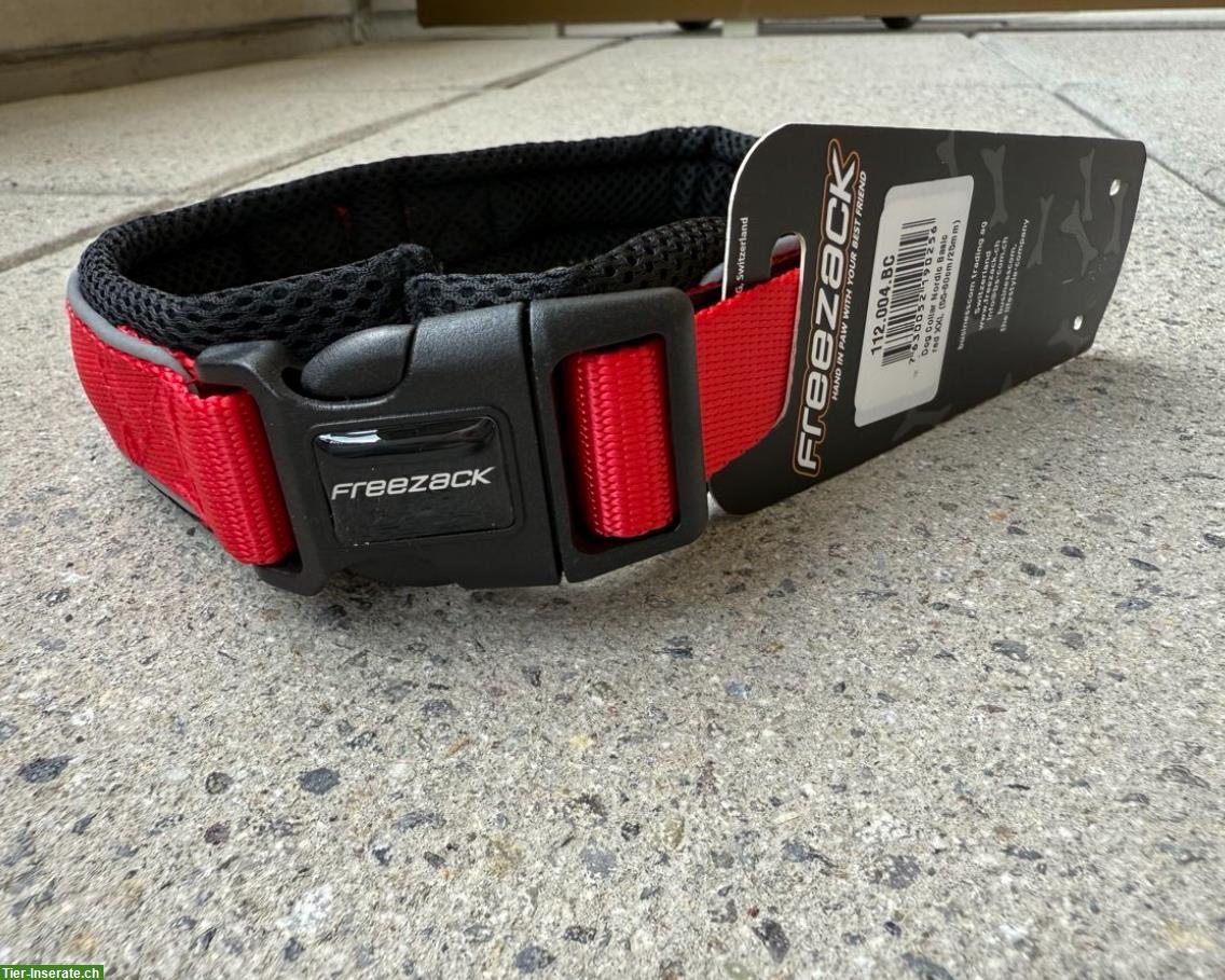 Freezack Hundehalsband rot, XXL 55-60cm / Breite 25mm