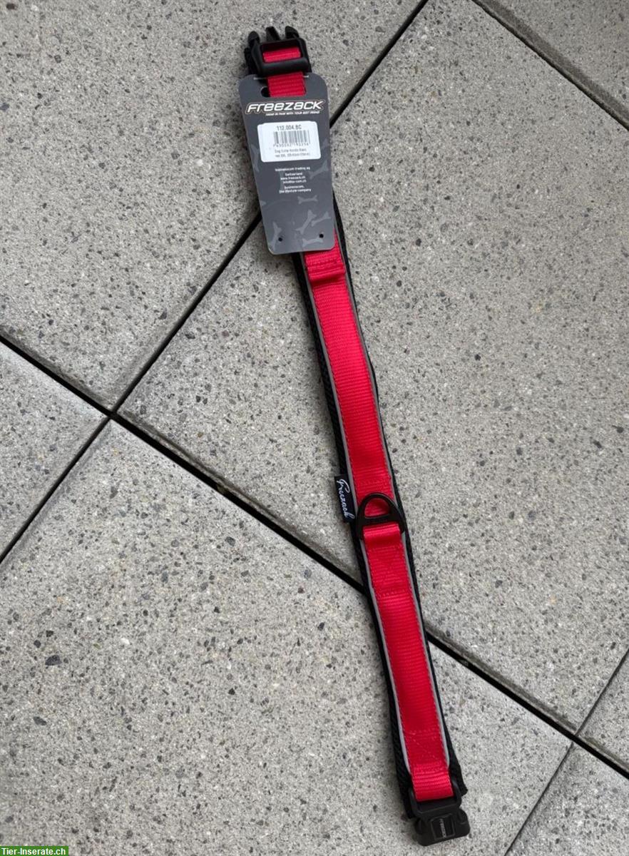 Bild 5: Freezack Hundehalsband rot, XXL 55-60cm / Breite 25mm