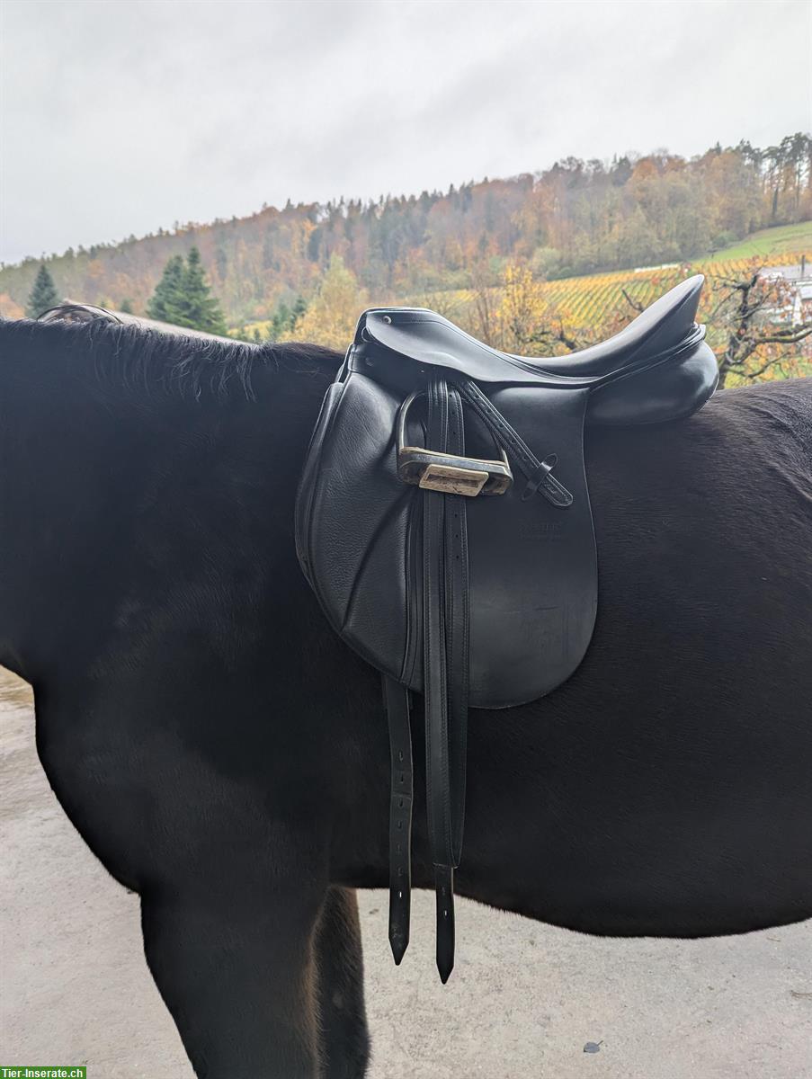 Bild 2: Passier Dressursattel Sirius 17 Zoll mit Lacknähten