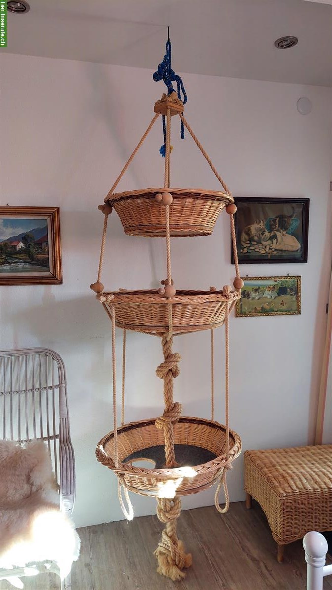 Hängekorb für Katzen zu verkaufen