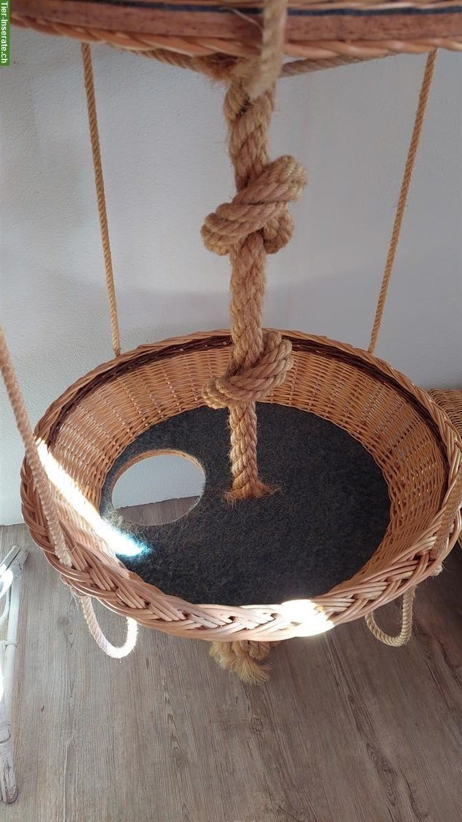 Bild 2: Hängekorb für Katzen zu verkaufen