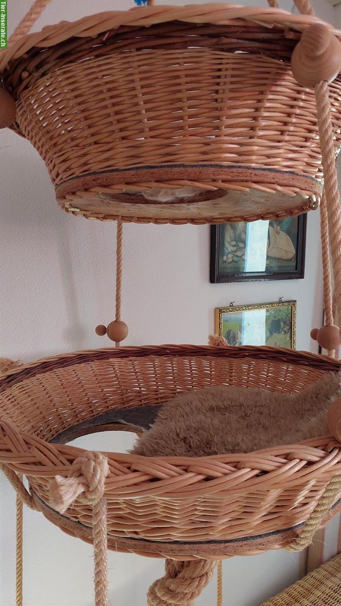 Bild 3: Hängekorb für Katzen zu verkaufen