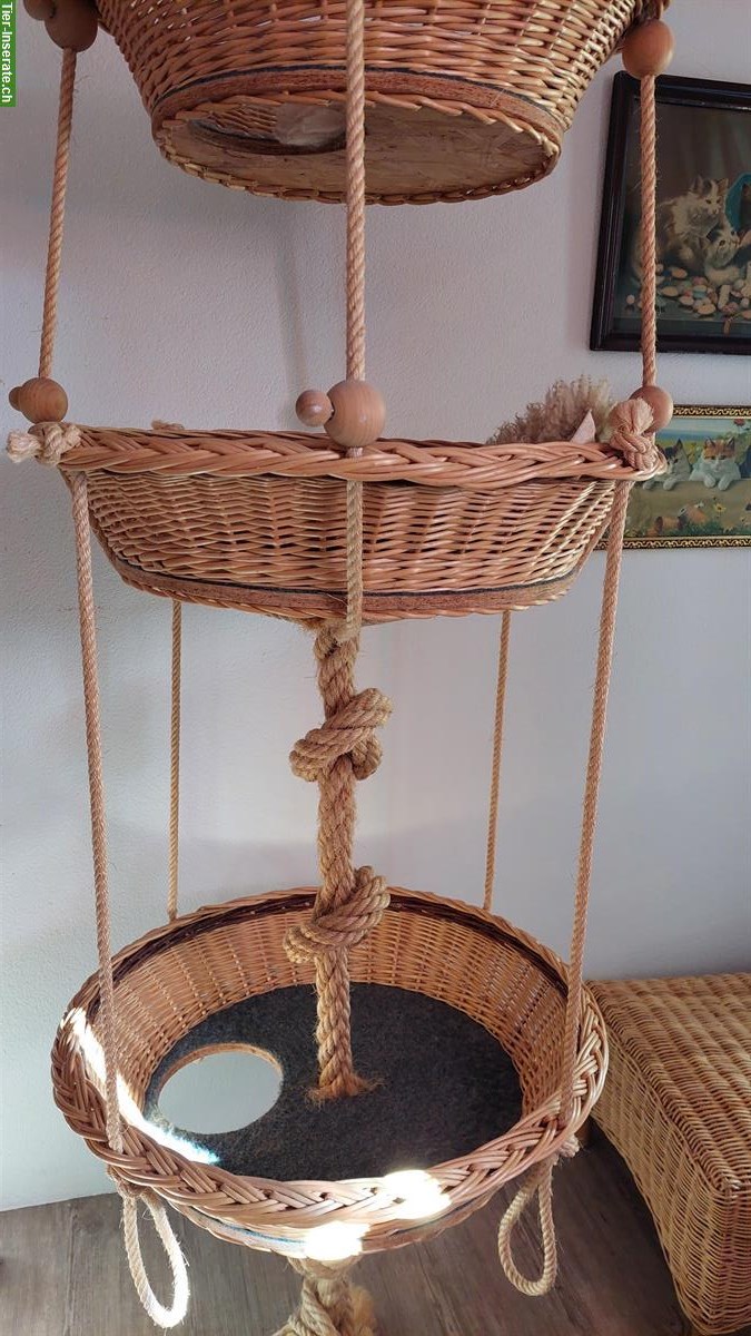 Bild 4: Hängekorb für Katzen zu verkaufen