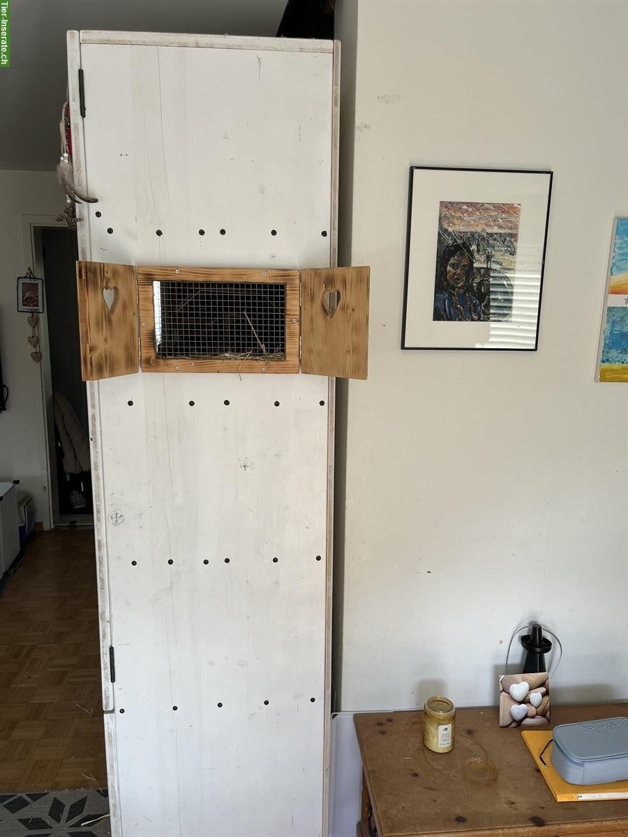 Bild 2: Nager-/Kleintier Käfig zu verkaufen