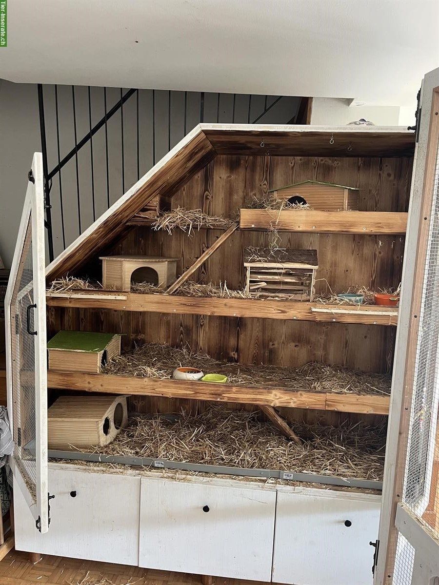 Bild 3: Nager-/Kleintier Käfig zu verkaufen