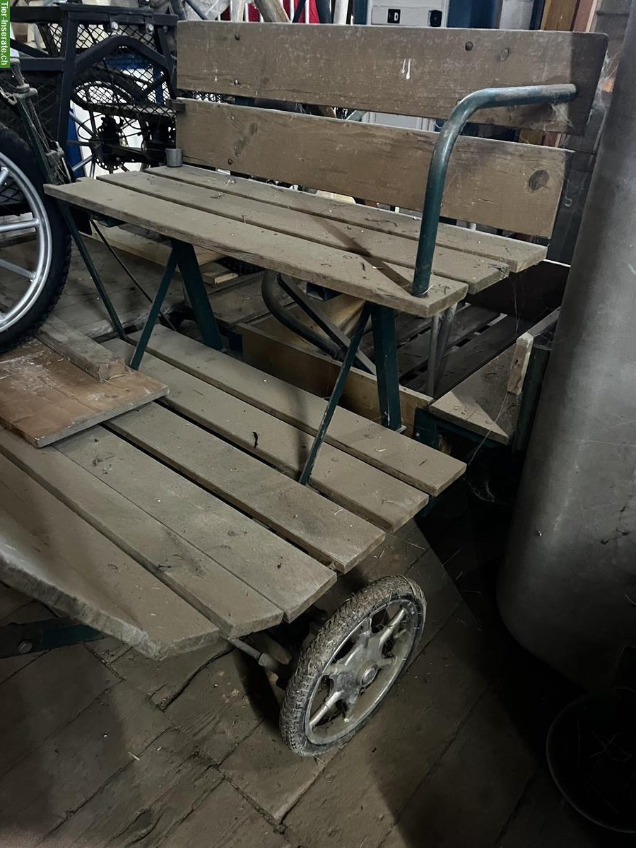 Pony Wagen zu verkaufen