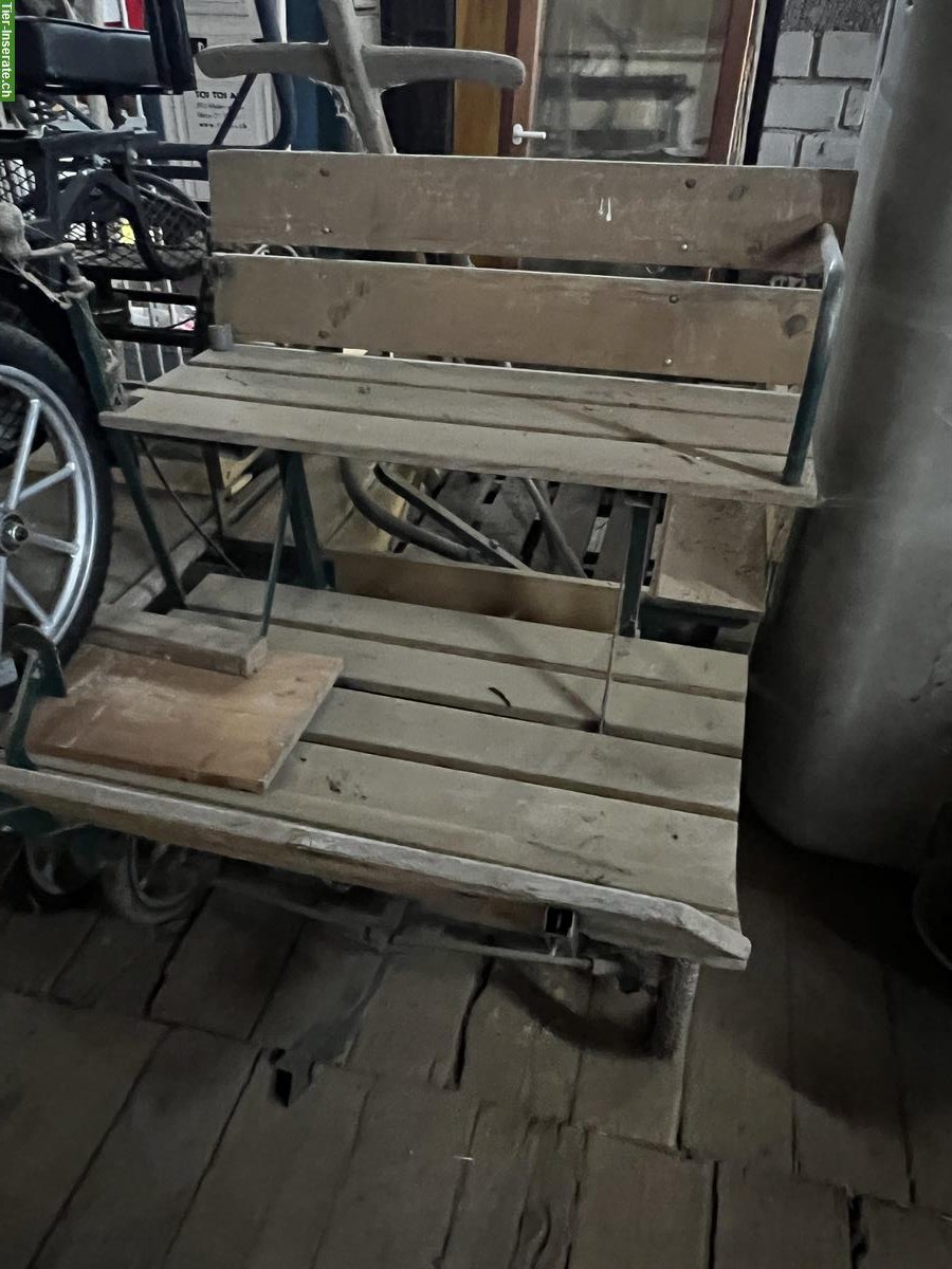 Bild 2: Pony Wagen zu verkaufen
