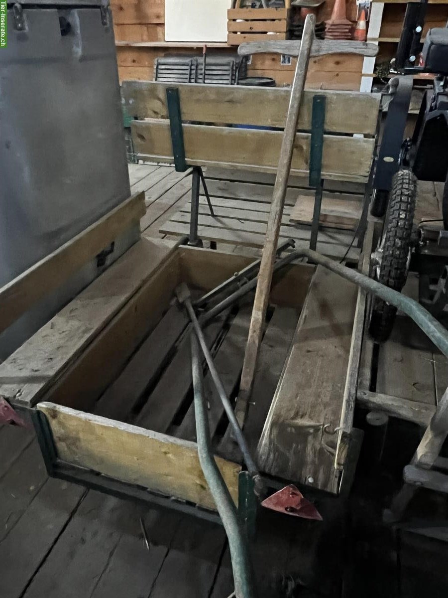 Bild 3: Pony Wagen zu verkaufen