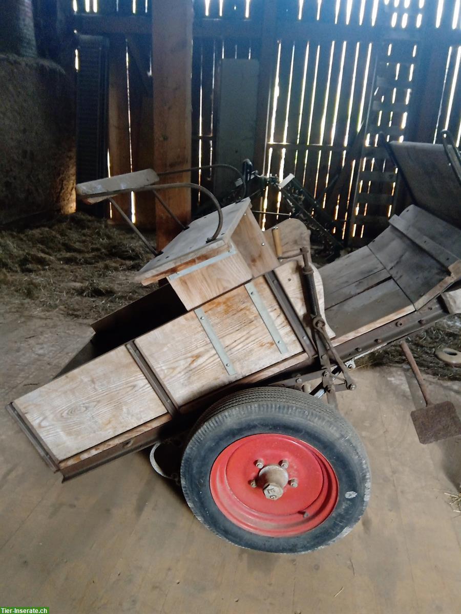 Pferdewagen zu verkaufen