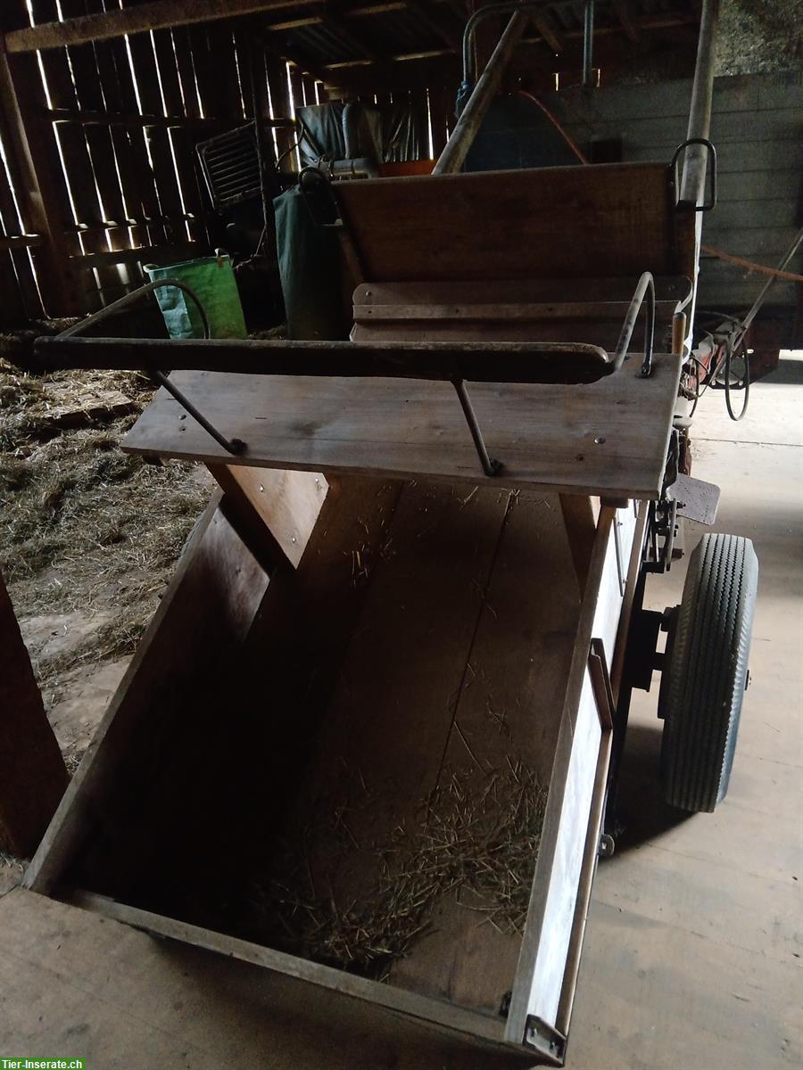 Bild 2: Pferdewagen zu verkaufen