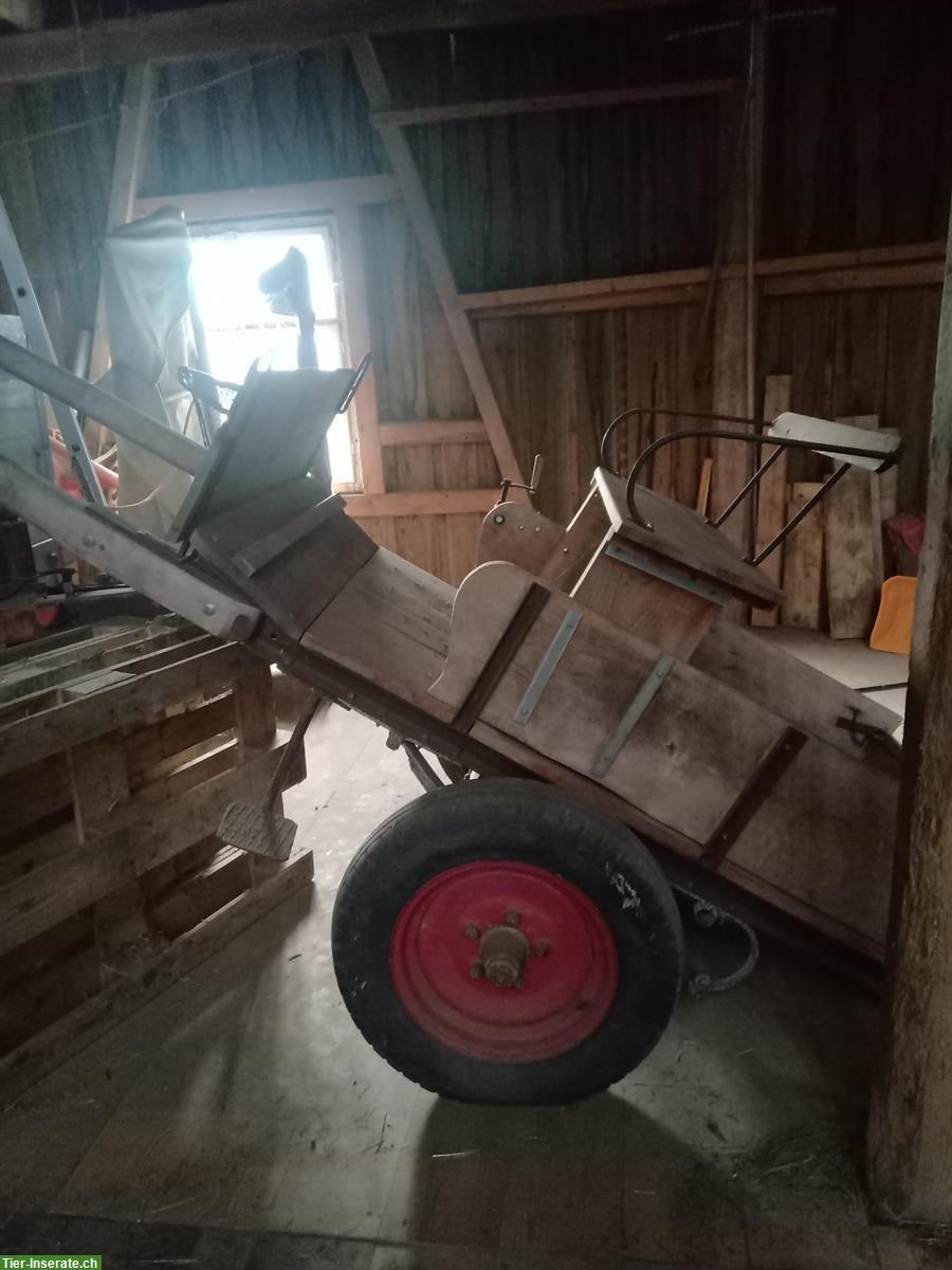 Bild 3: Pferdewagen zu verkaufen