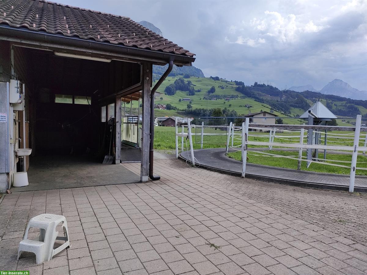 Bild 2: Pensionsstall Schöpfimatt mit Auslaufboxe zu vermieten