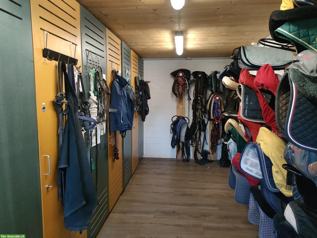 Bild 3: Pensionsstall Schöpfimatt mit Auslaufboxe zu vermieten