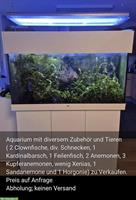Aquarium mit Fischen und Zubehör zu verkaufen