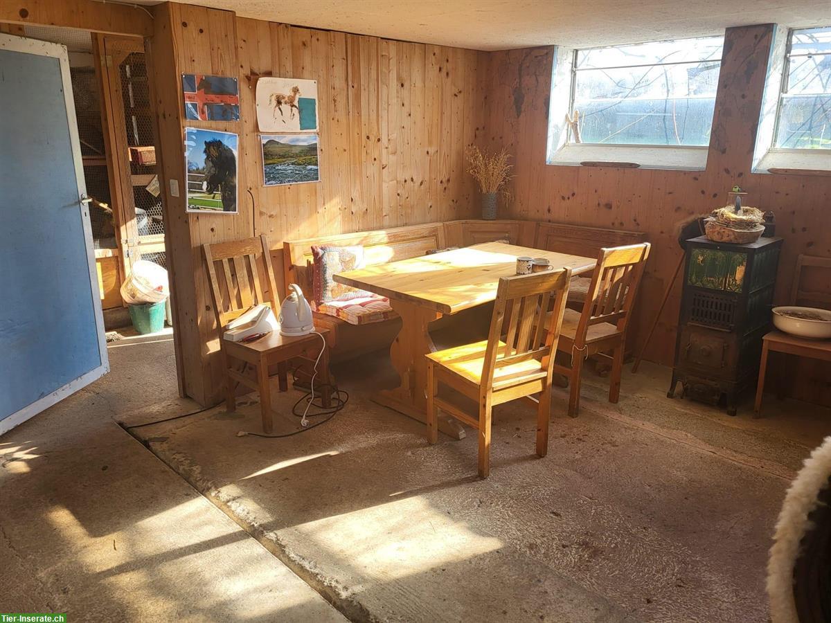 Bild 3: Offenstallplatz frei, Gruppenhaltung, Remetschwil AG