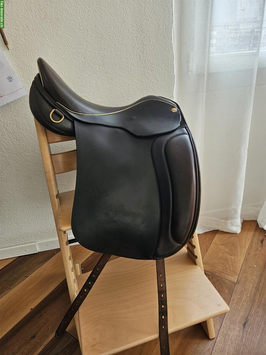 Bild 2: Islandpferdesattel Sommer Somero Gait 17.5 Zoll zu verkaufen