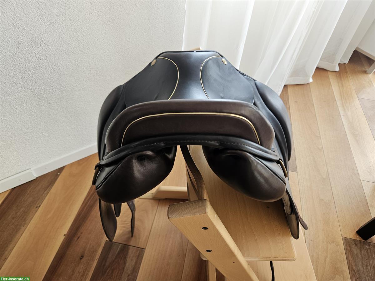 Bild 4: Islandpferdesattel Sommer Somero Gait 17.5 Zoll zu verkaufen