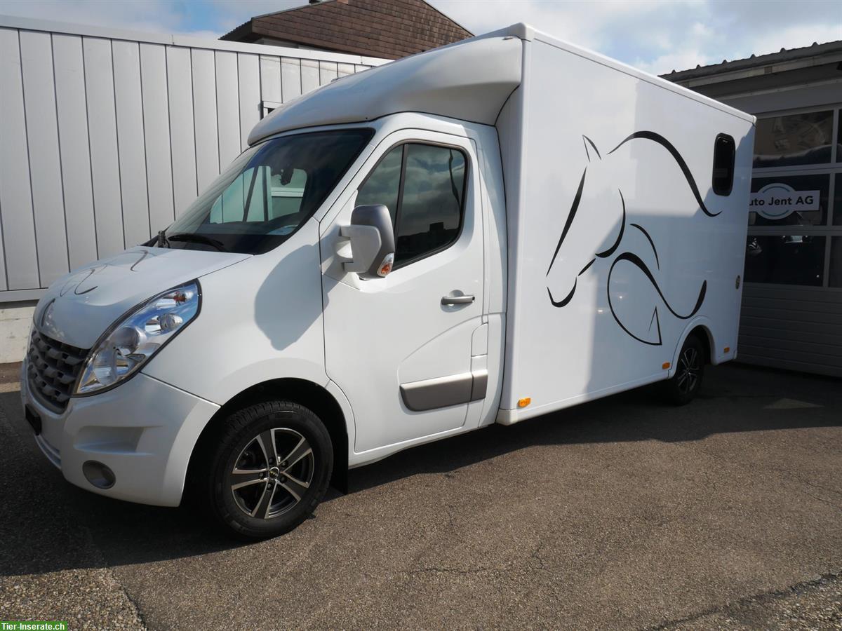 Pferdetransporter Selbstfahrer, RENAULT Master Dülmener