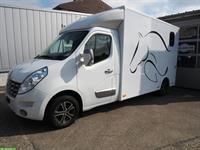 Pferdetransporter Selbstfahrer, RENAULT Master Dülmener