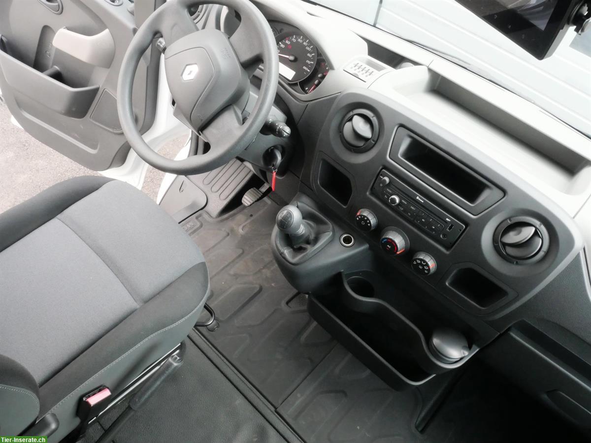 Bild 10: Pferdetransporter Selbstfahrer, RENAULT Master Dülmener