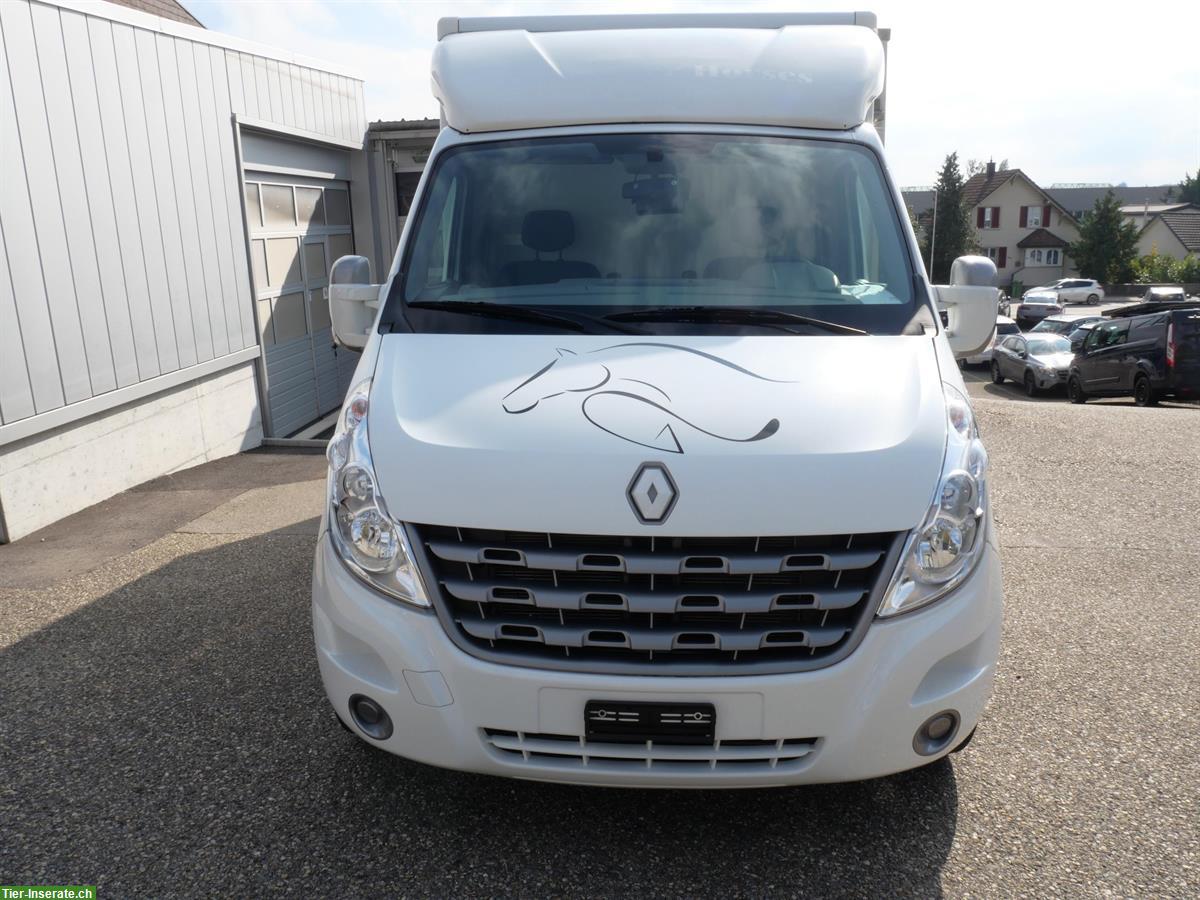 Bild 2: Pferdetransporter Selbstfahrer, RENAULT Master Dülmener
