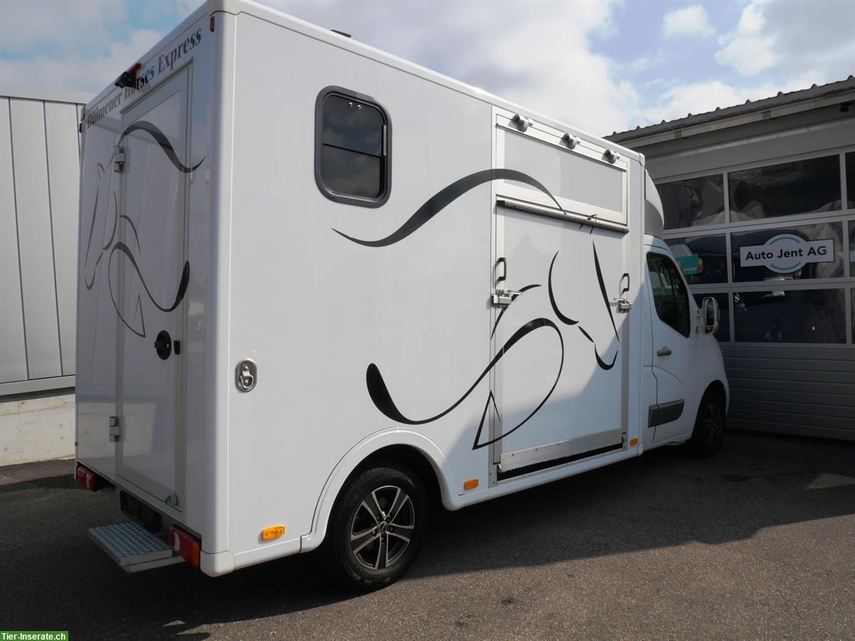 Bild 3: Pferdetransporter Selbstfahrer, RENAULT Master Dülmener