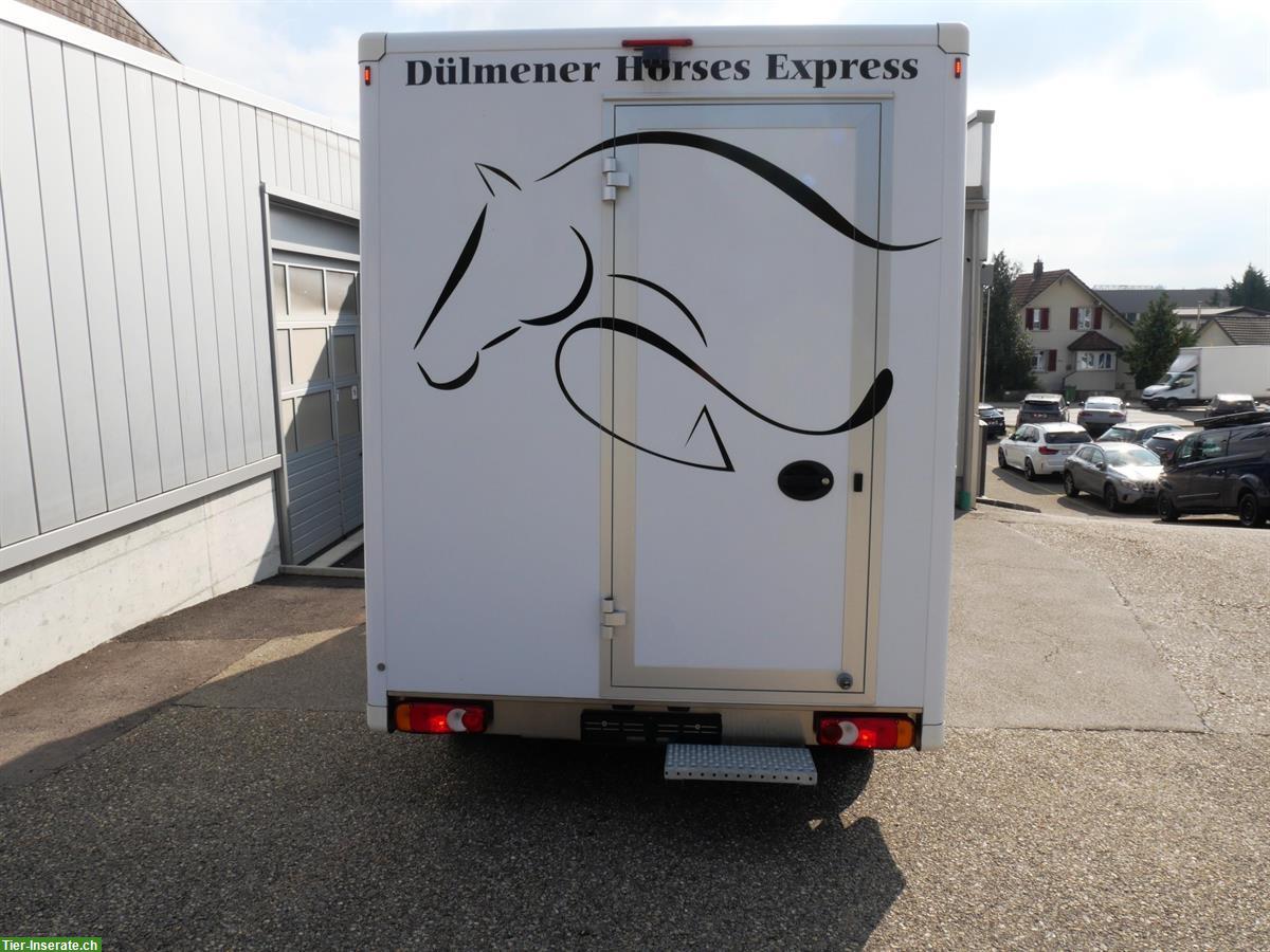 Bild 4: Pferdetransporter Selbstfahrer, RENAULT Master Dülmener
