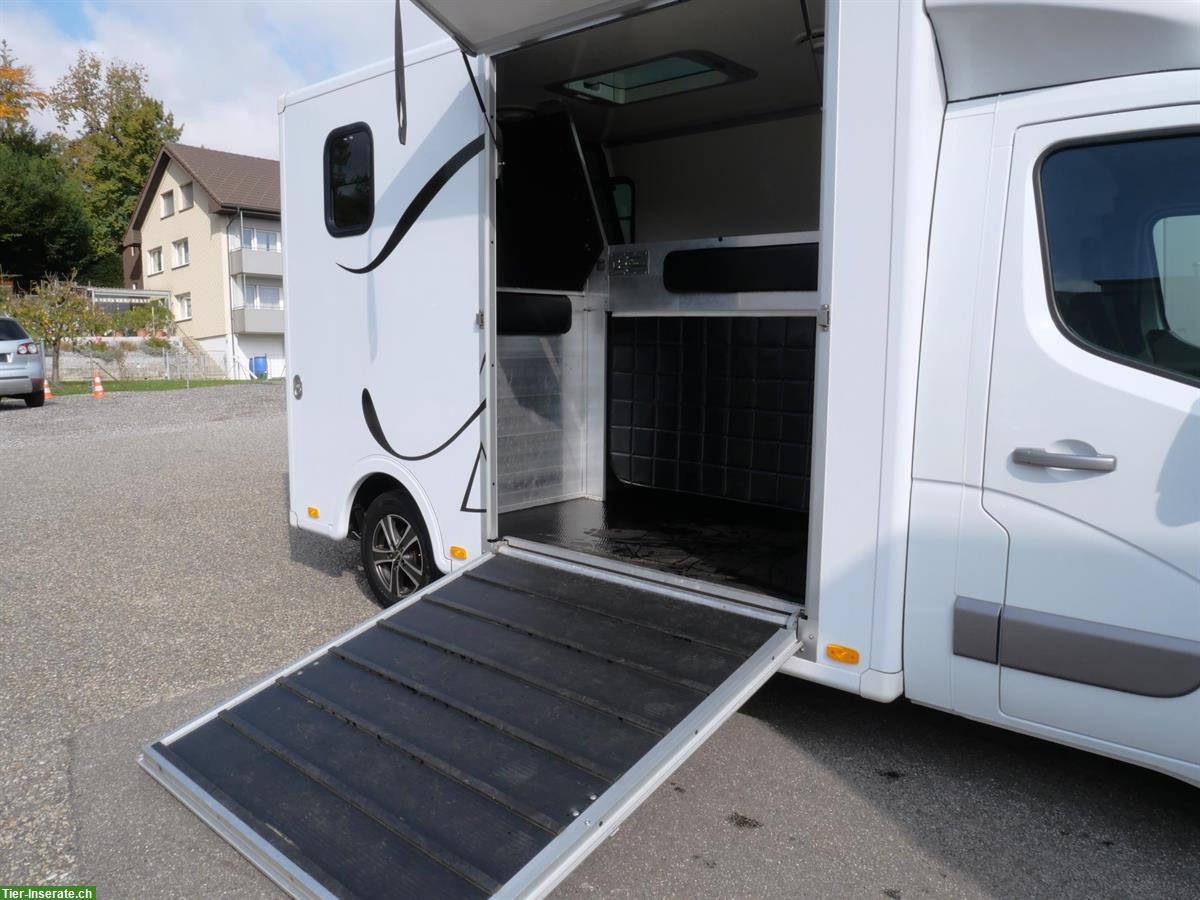 Bild 5: Pferdetransporter Selbstfahrer, RENAULT Master Dülmener